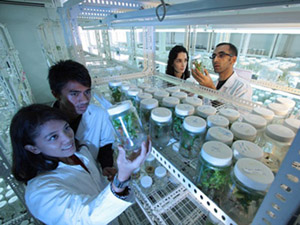 谁知道哪买好的在线DDOS攻击平台